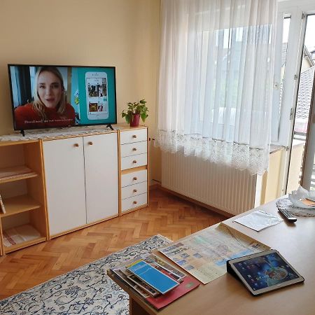 Apartment Milena Maribor Kültér fotó