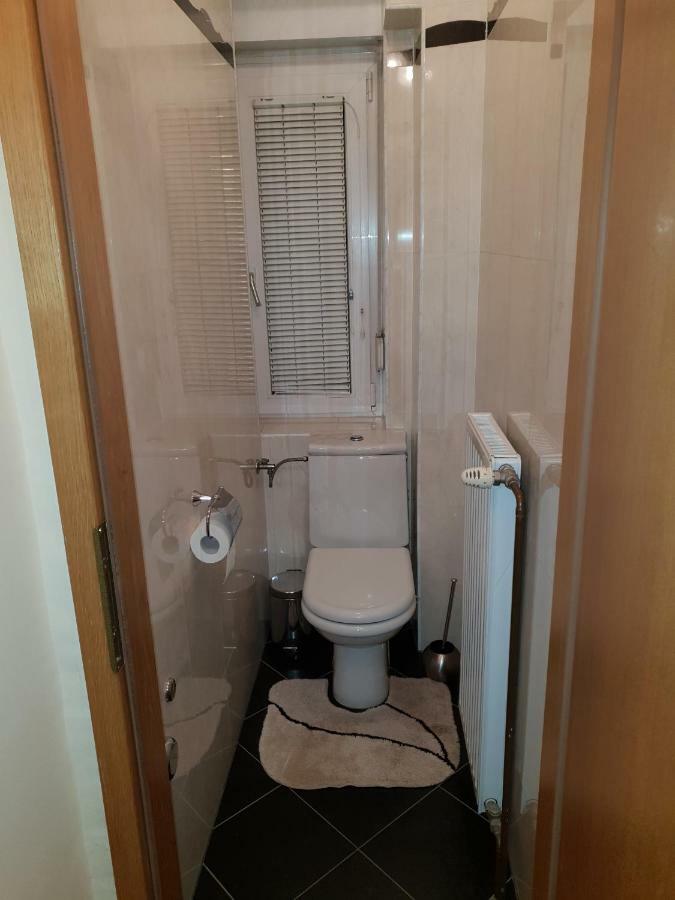 Apartment Milena Maribor Kültér fotó